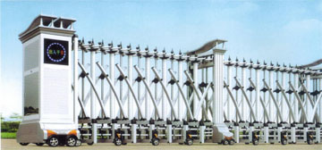 �ֶ���ϵ��